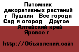 Питомник декоративных растений г. Пушкин - Все города Сад и огород » Другое   . Алтайский край,Яровое г.